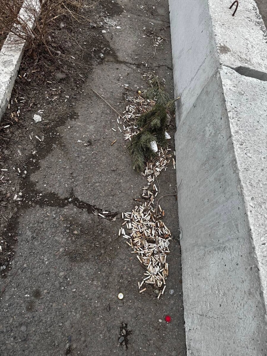     Источник: t.me/verhushina