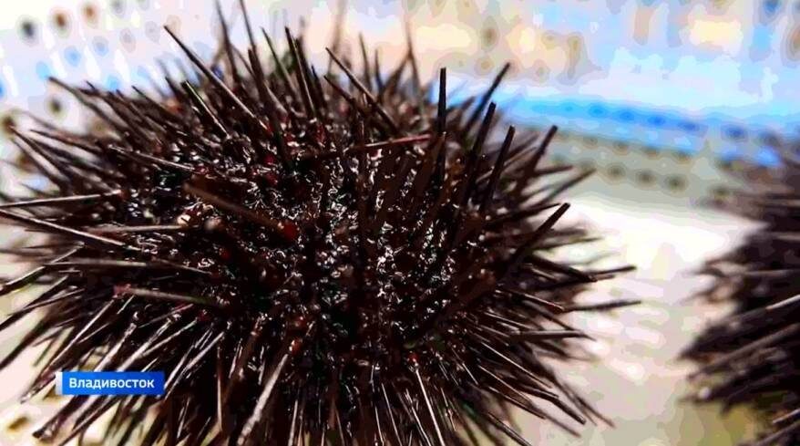    Источник фото: