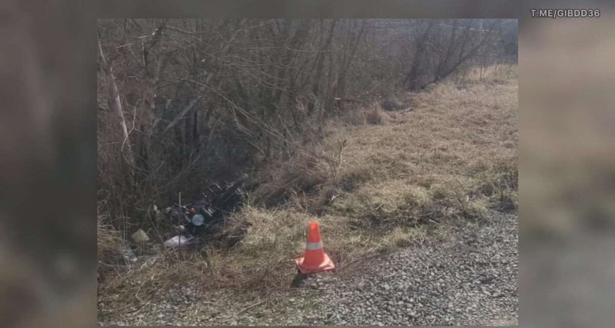    В Воронежской области погиб водитель мопеда в результате ДТП Госавтоинспекция Воронежской области