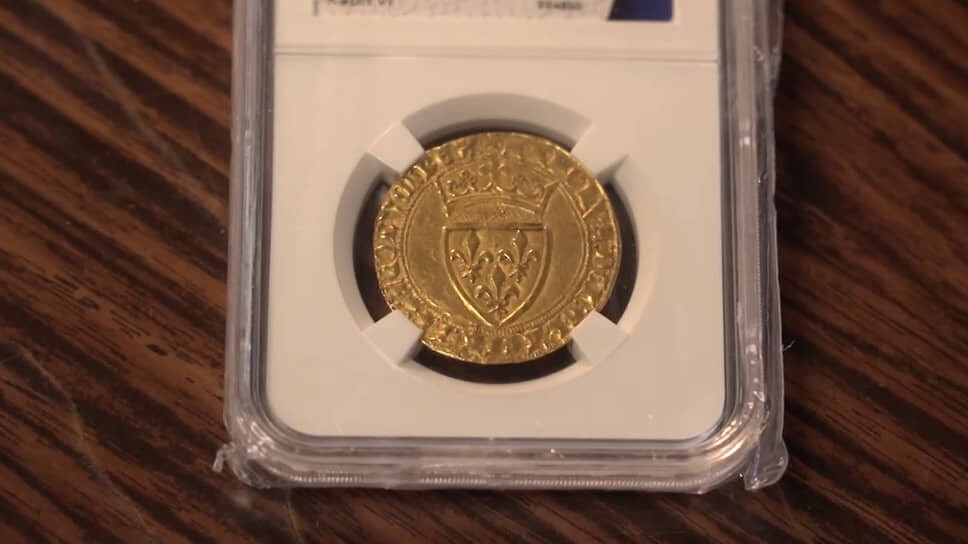 Фото: Telegram-канал Ирины Волк