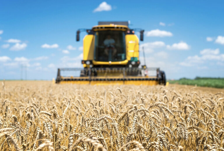    Фото: freepik.com/aleksandarlittlewolf Ксения Евдокимова