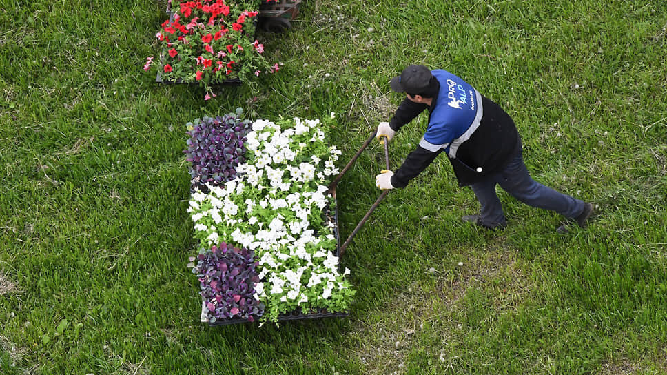Фото: Анатолий Жданов / Коммерсантъ