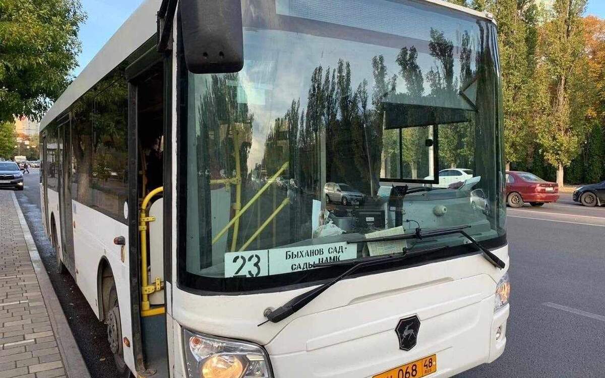    В Липецке с 12 апреля запустят бесплатные садоводческие маршруты телеграм-канала «Роман Ченцов»