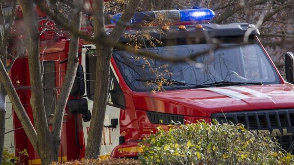    © РИА Новости Крым . Дмитрий Макеев