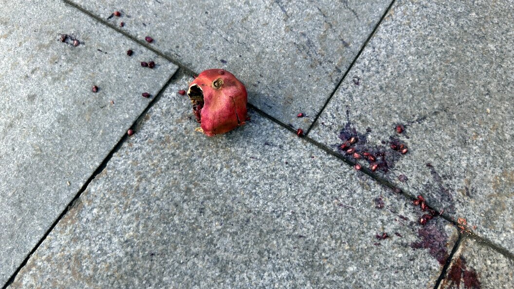    Фото: Alexander Legky/Globallookpress