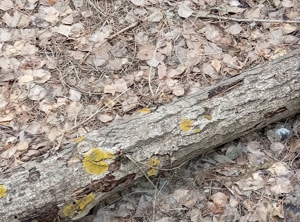 Фотография из личного архива автора