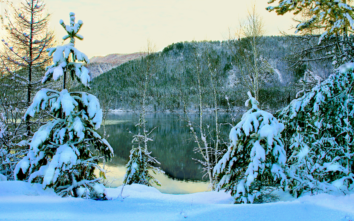 Фотография, стихотворение Василия Глуцкого