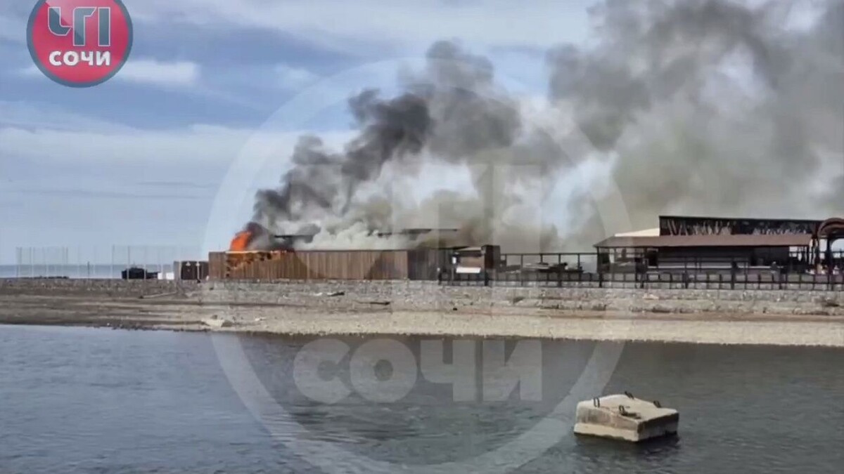    Фото: t.me/chp_sochi