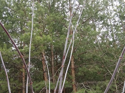 Фотография из личного архива автора