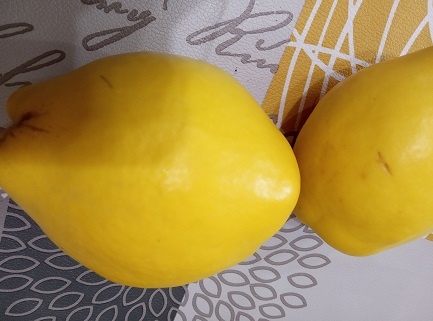 Фотография из личного архива автора