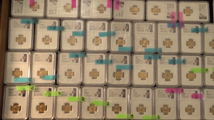    Фото: МВД России; 5-tv.ru