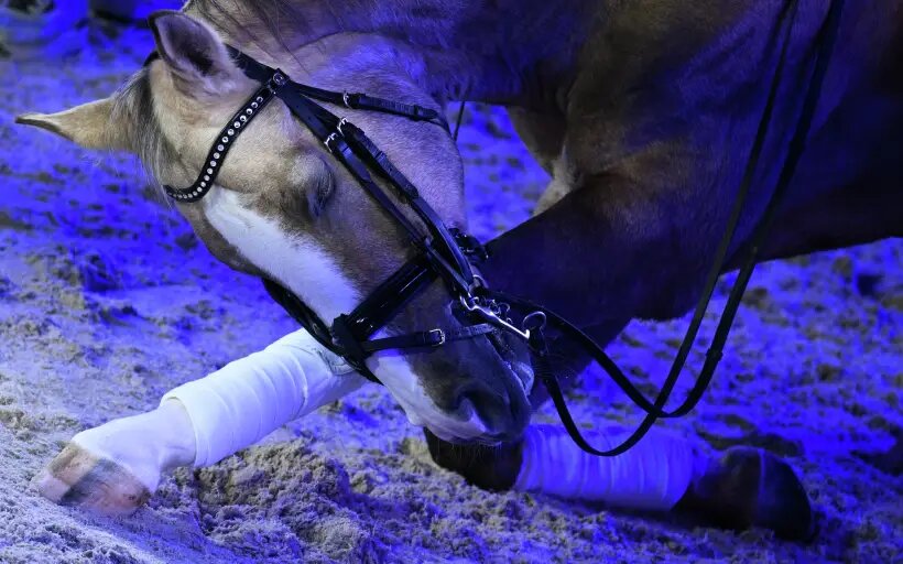     © РИА Новости. Рамиль Ситдиков