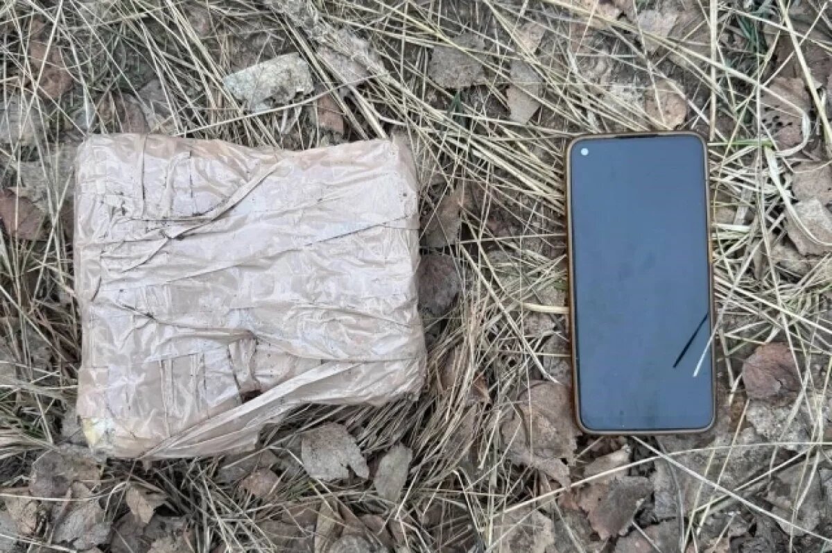    В Рязани задержан организатор интернет-торговли наркотиками