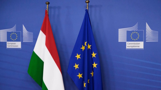    ЕС обсуждает несколько способов давления на Венгрию, чтобы сохранить санкции против России ©Alexandros Michailidis / Shutterstock / Fotodom