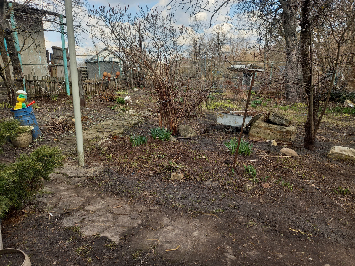 Фото автора 