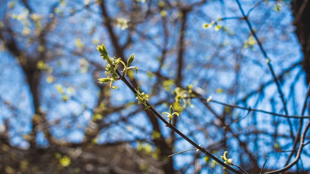     Источник: 1MI