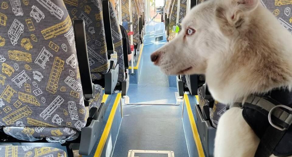    АО "Мострансавто"