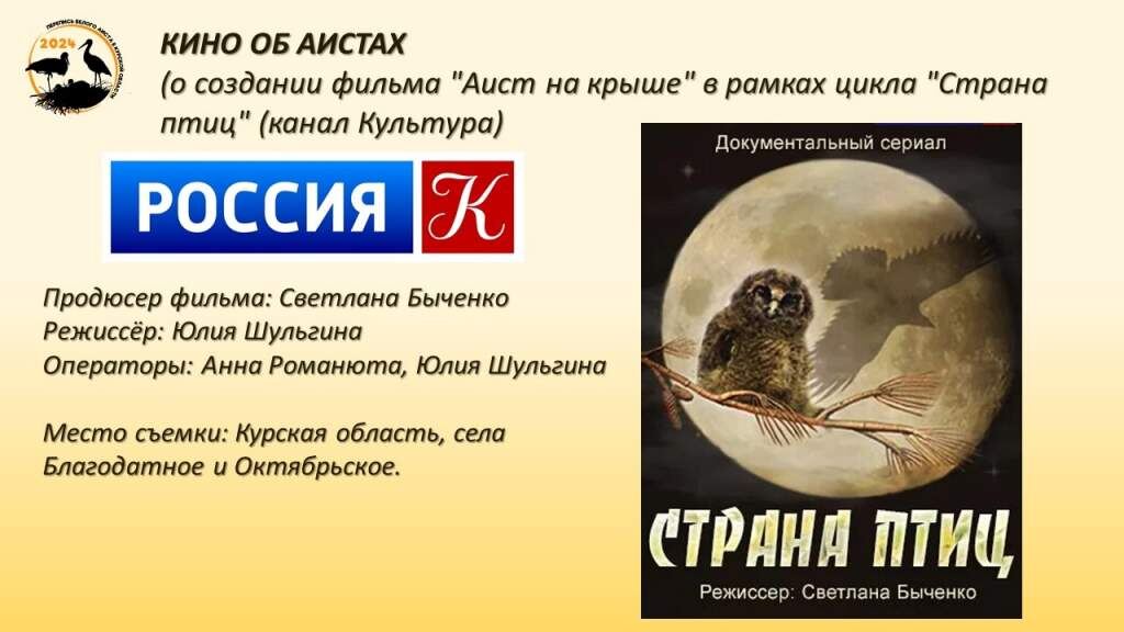    Фото из группы "Птицы города Курска"