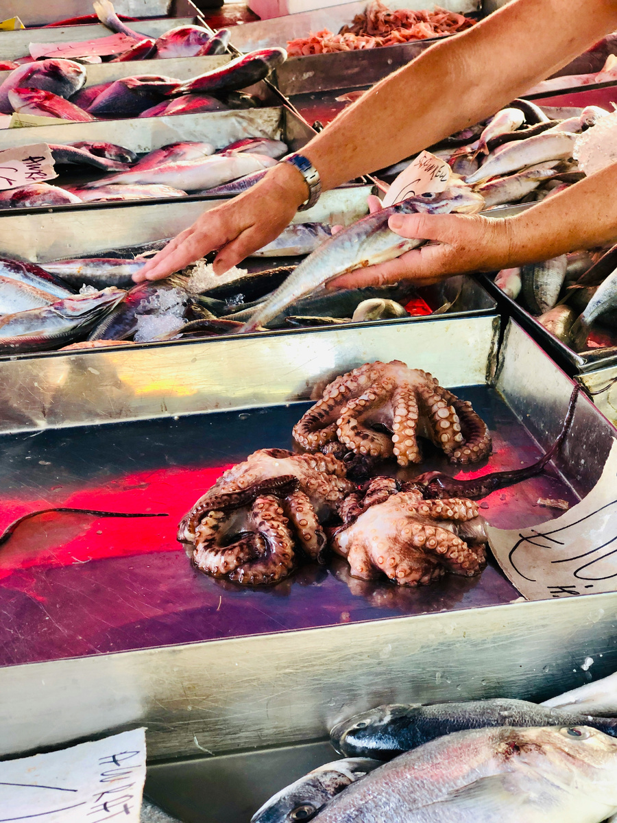 Photo by Christian Seebeck on Unsplash