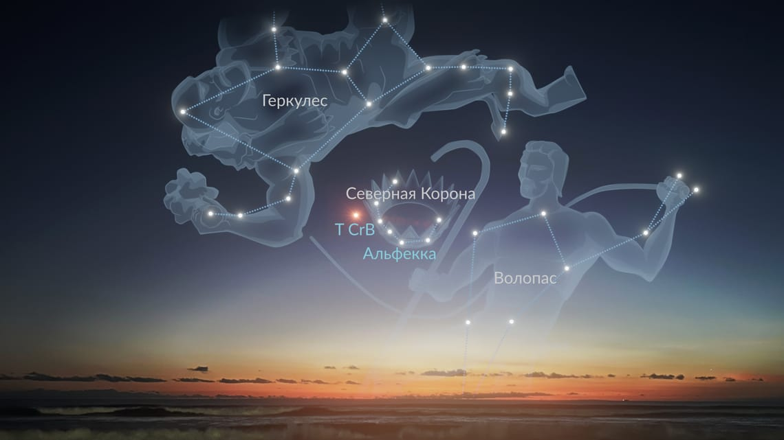 T Северной Короны находится в Северной Короне, небольшом созвездии, которое лучше всего видно в Северном полушарии. Наивысшей точки на небе оно достигает в июле.