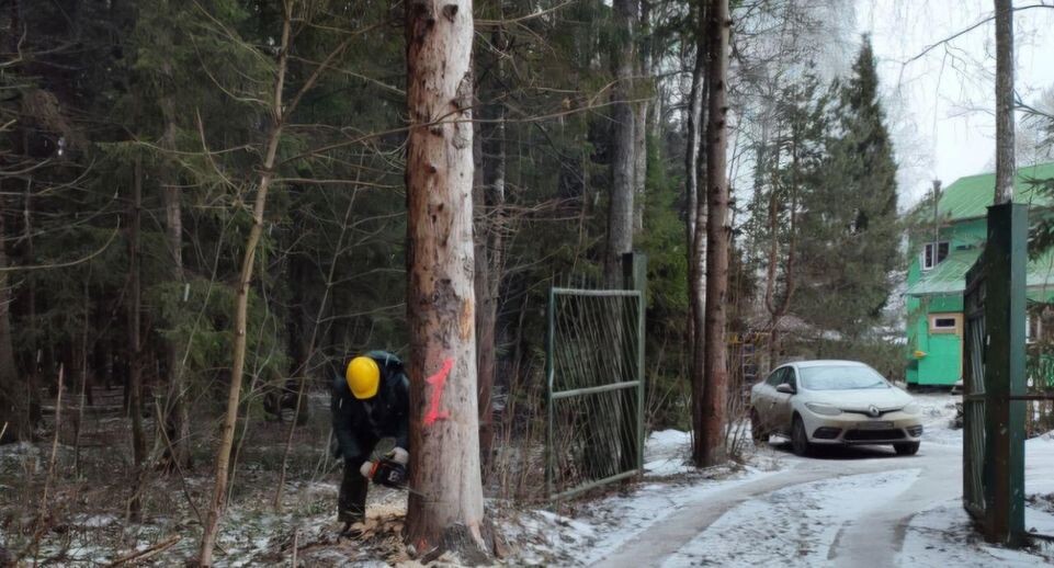    Комитет лесного хозяйства Московской области