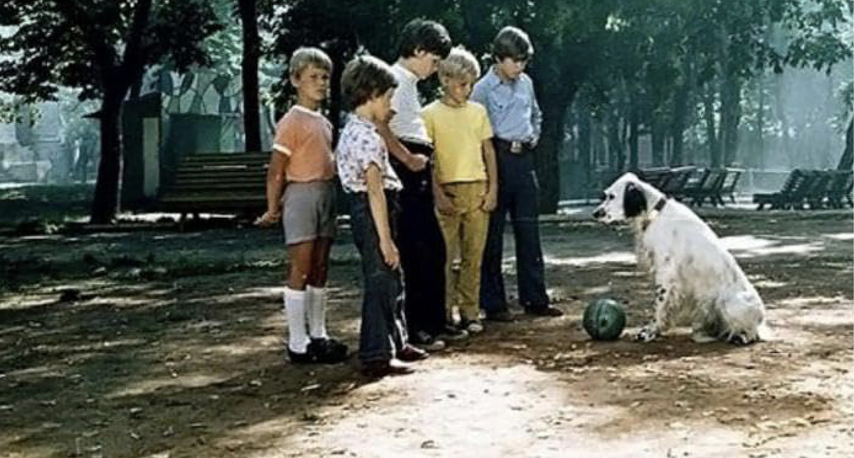 Кадр из фильма "Белый Бим черное ухо"