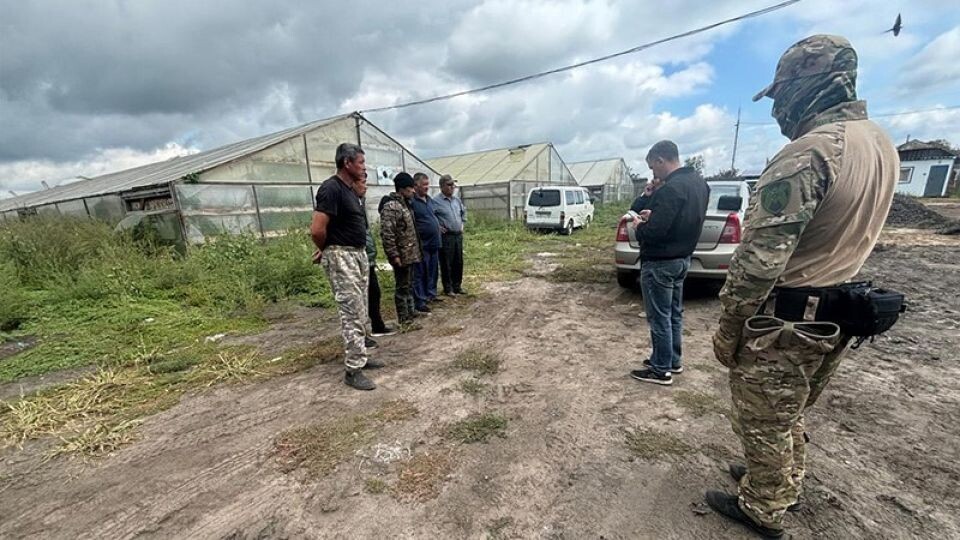    Оперативно-профилактическая операция "Нелегал". Источник: 22.мвд.рф