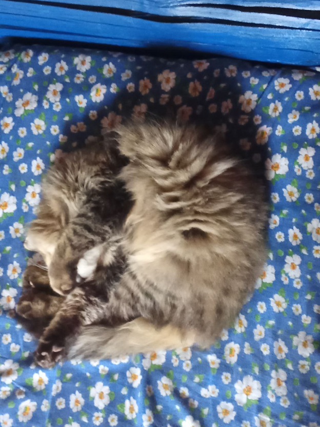 Личное фото