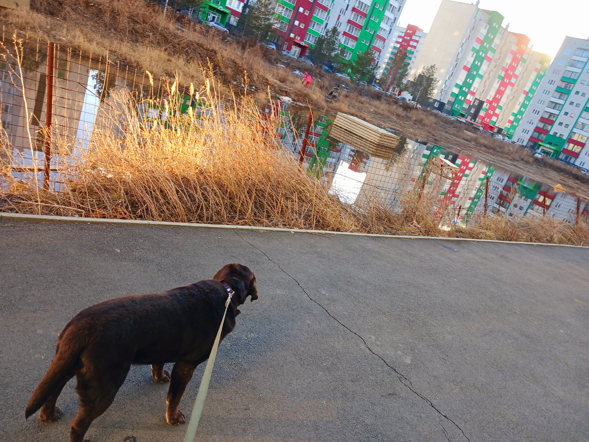 "Доброе утро, мир! Ты прекрасен!" Фото автора