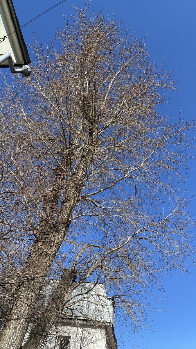 Фото из архива автора