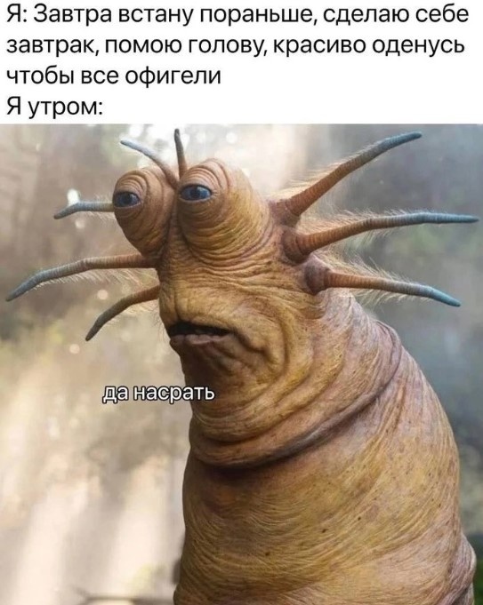 Типичная сова, которая до 2 часов ночи смотрела сериал, скрипела стулом, роняла ложки и бесила жаворонка за стенкой)