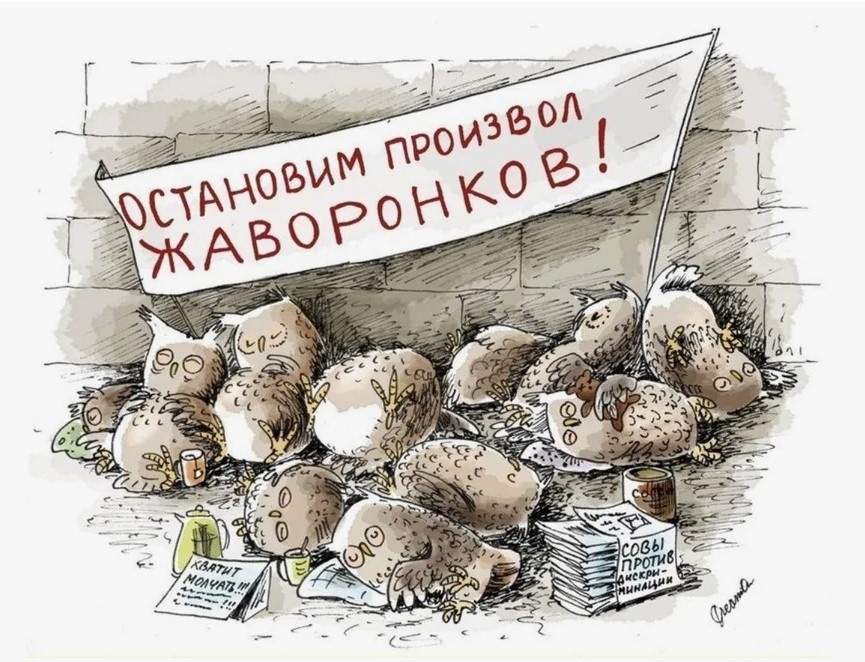 А виноваты во всем все равно жаворонки! (Картинка из общего доступа).