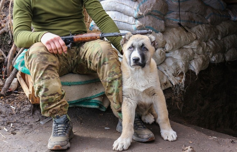    Юрий Конопатов/NEWS.ru