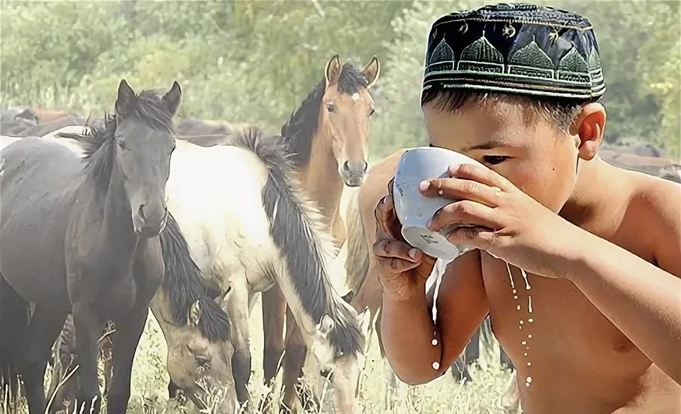 Фото из сети. Кумыс - легендарный целебный напиток степных кочевников и воинов