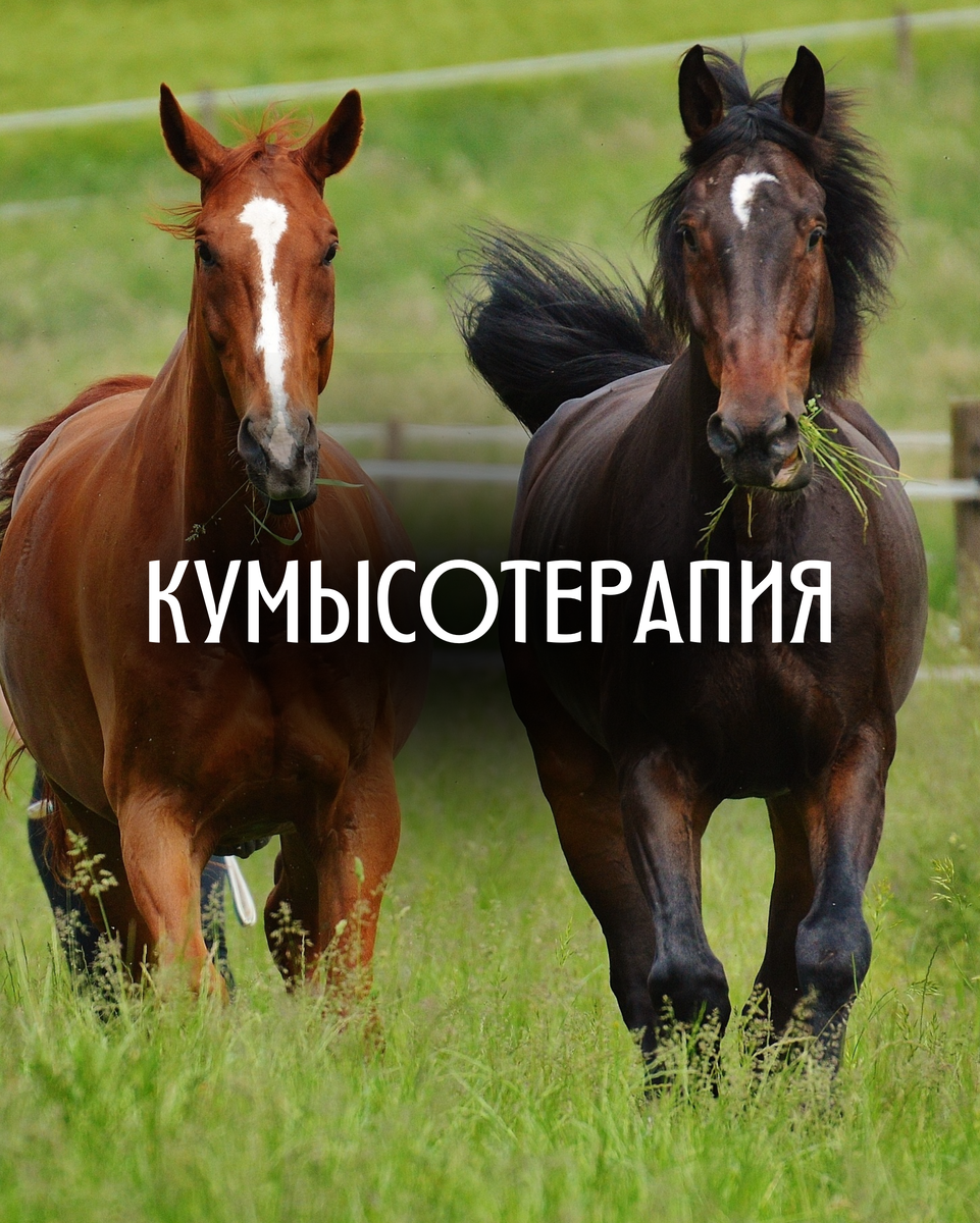 По своему опыту систематического употребления кумыса, я отмечаю улучшение состояния почек, кишечника, кожи, волос