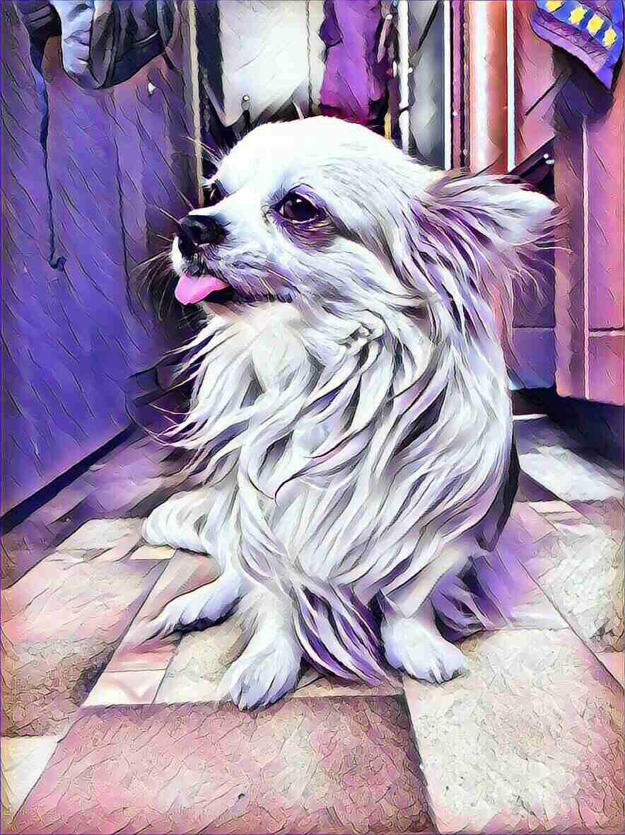 (мой Благородный помощник, рожден в день и год Тигра 寅)