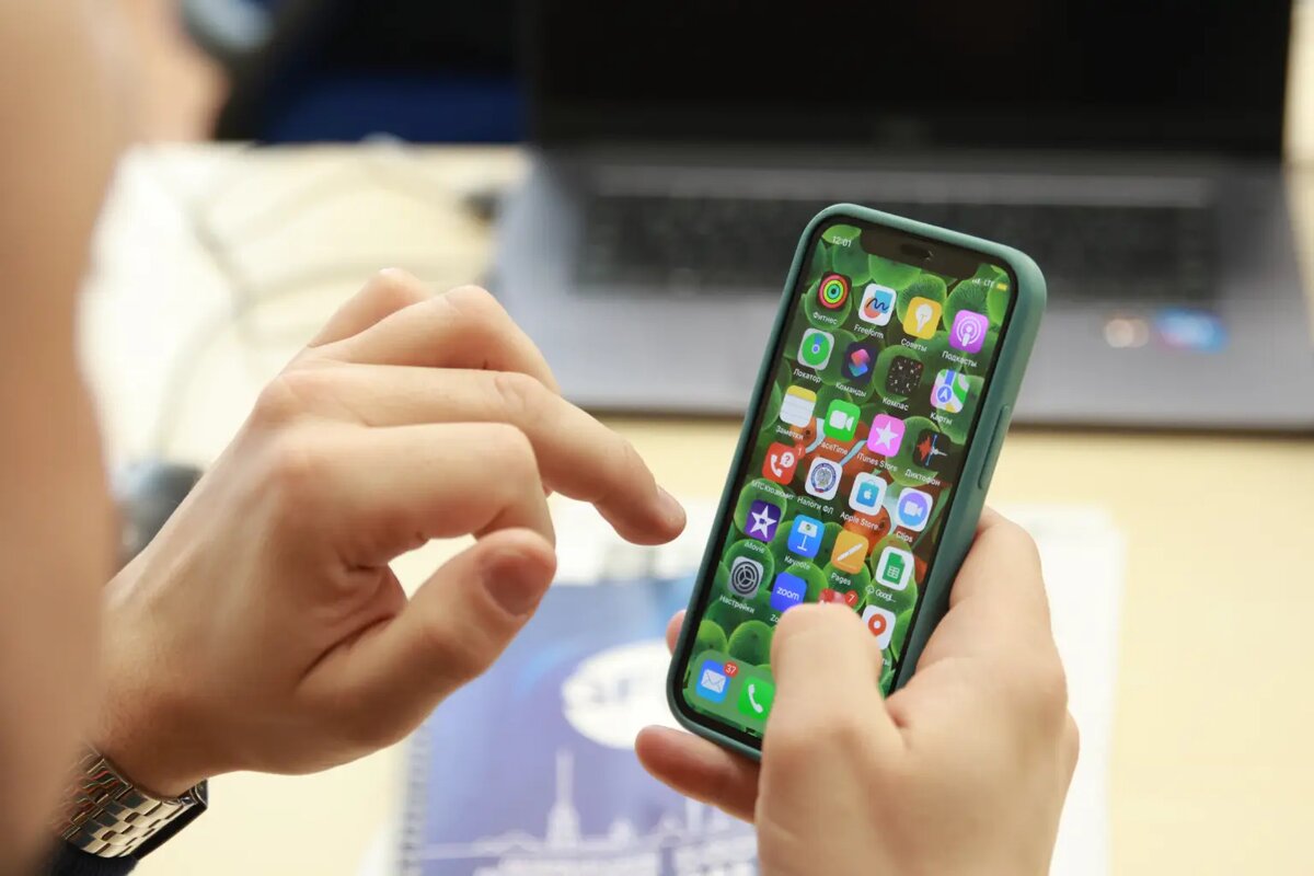    Baltphoto/Вероника Овсянникова