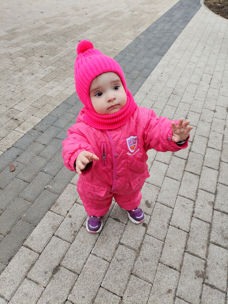 Голубей зовет к себе