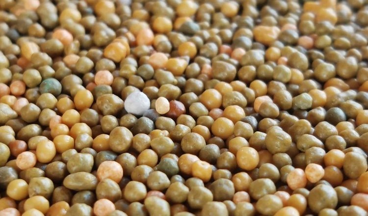    Бразилия - крупнейший импортер российских минудобрений и важный поставщик кофе в РФ