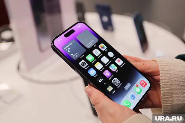 Некоторые модели айфон в ХМАО можно купить почти вполовину дешевле, чем осенью. Фото: Размик Закарян © URA.RU