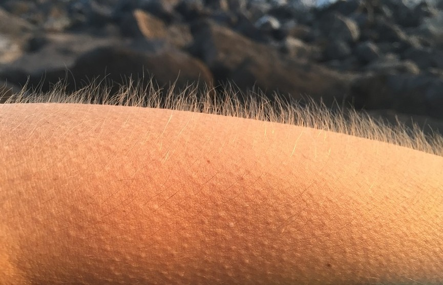 Изображение от Freepik