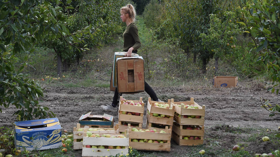 Фото: Виктор Коротаев / Коммерсантъ