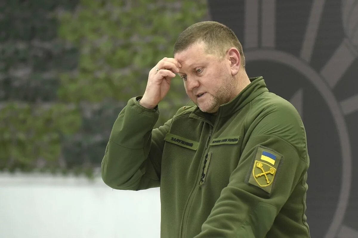    Валерий Залужный.