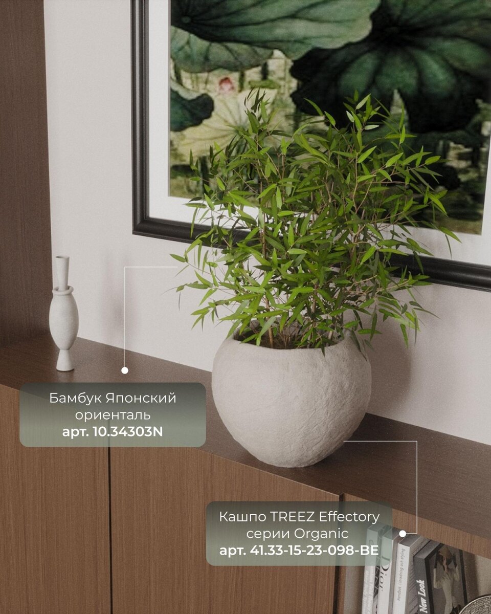 Кашпо и растения Treez Collection