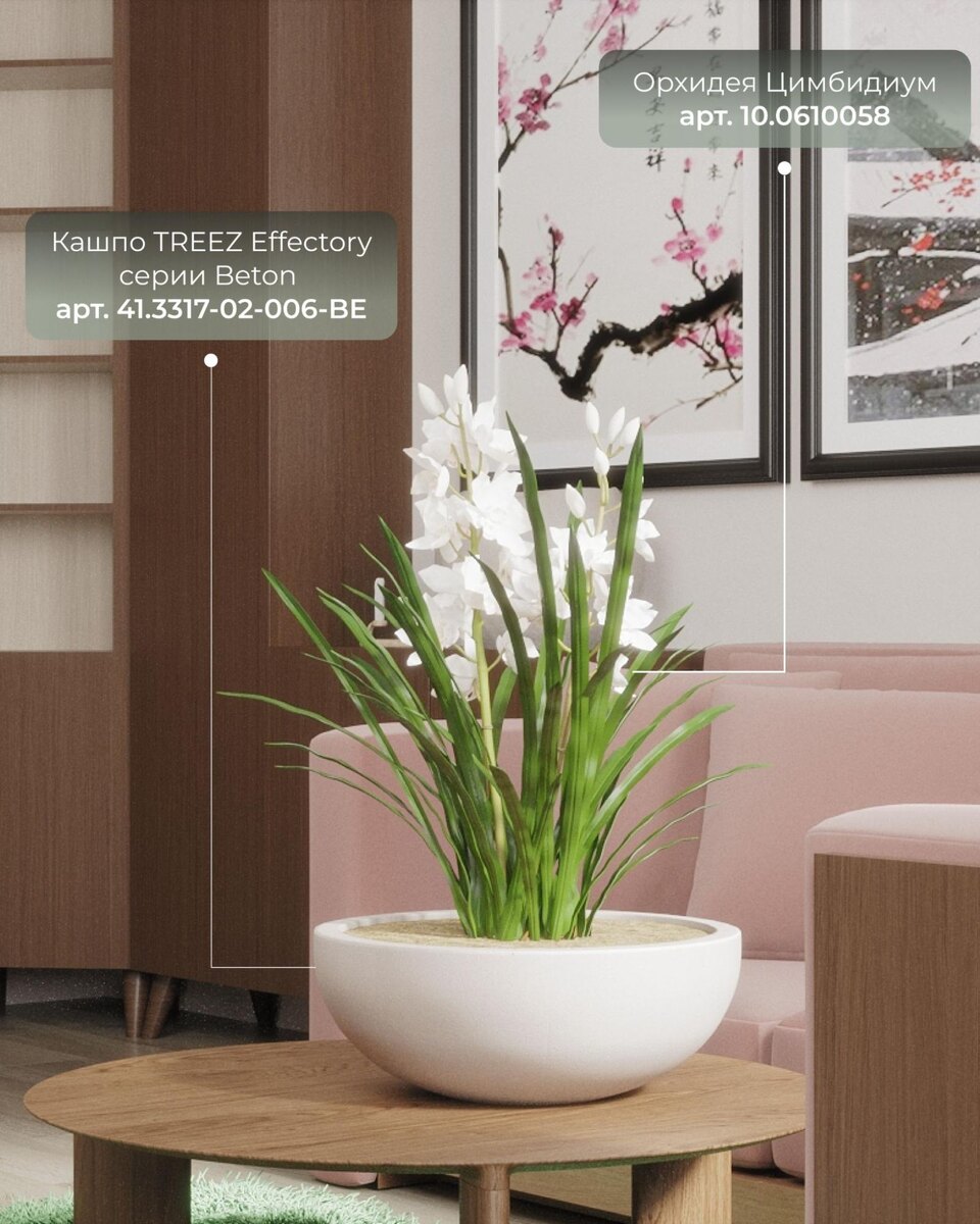 Кашпо и растения Treez Collection