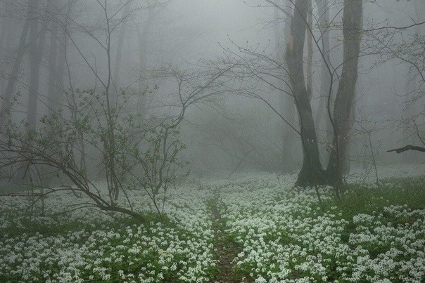 Изображение из открытых источников