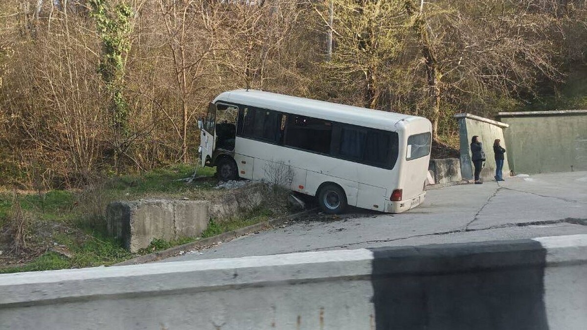    Фото: телеграм-канал ЧП | Краснодарский край