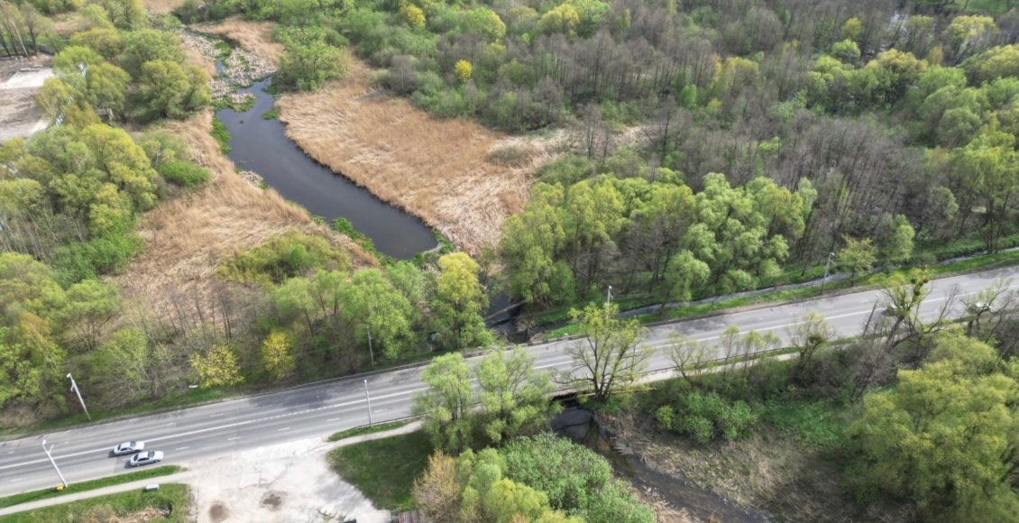    Фото: Минприроды Калининградской области