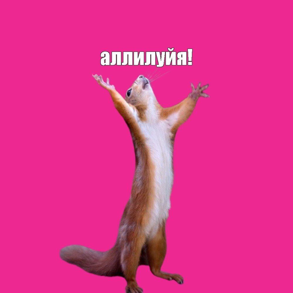 фото из интернета.