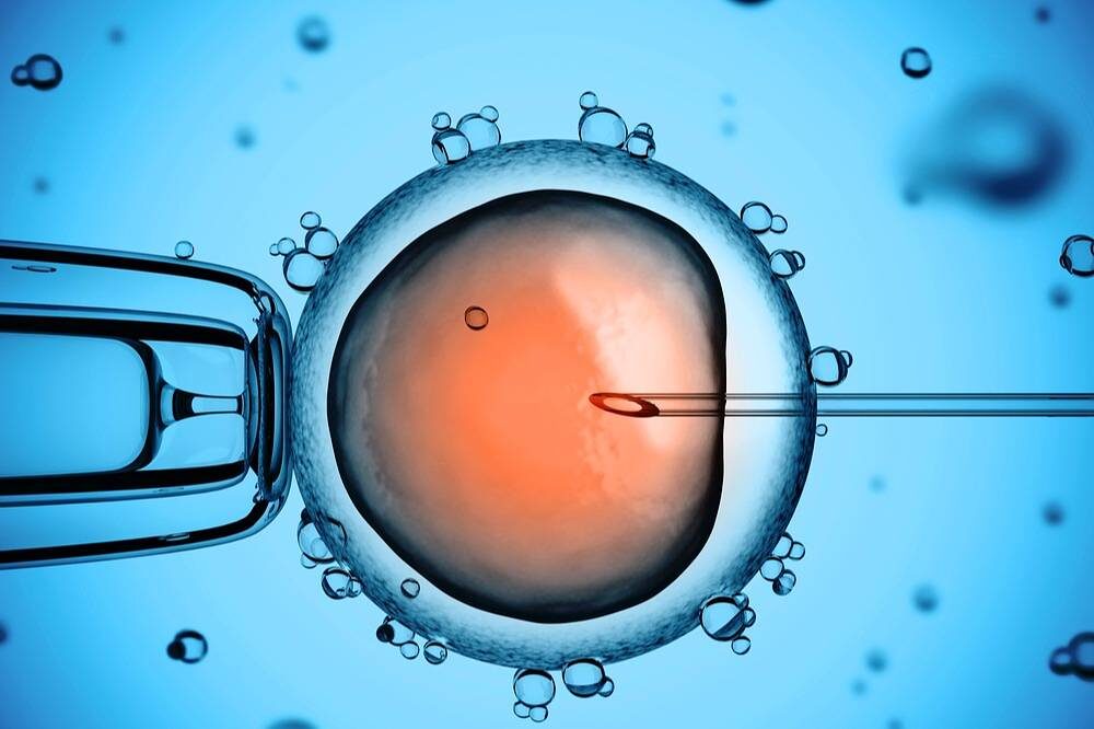 Фото из открытых источников.